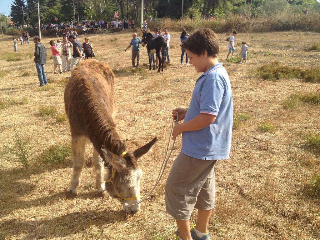 노토 Agriturismo Vita E Natura 빌라 외부 사진