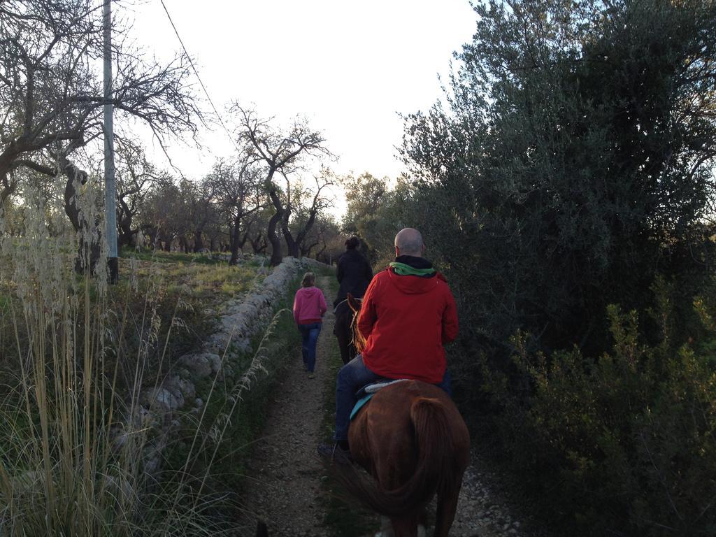 노토 Agriturismo Vita E Natura 빌라 외부 사진